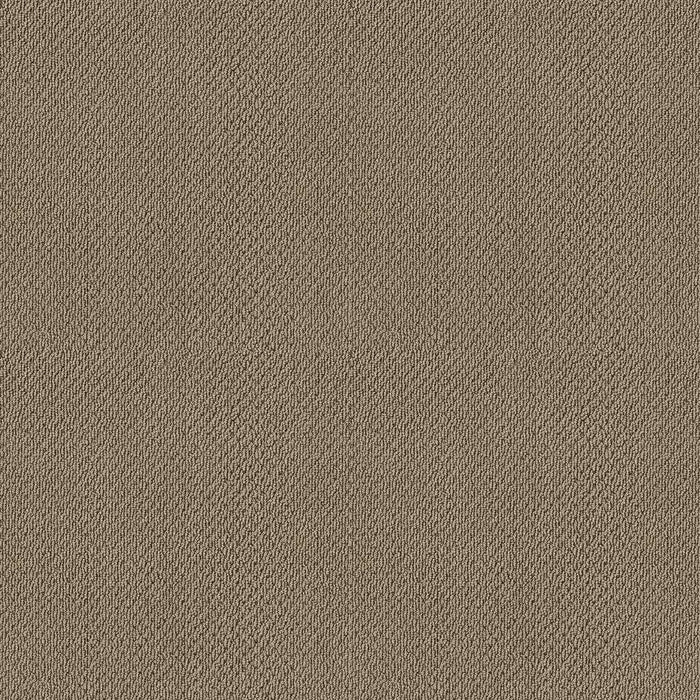 Soft Shades Truly Relaxed Loop Nylon Cappuccino 00756