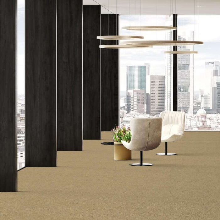 Shaw Soft Shades Truly Relaxed Loop 00756 Cappuccino Loop Nylon Carpet ...