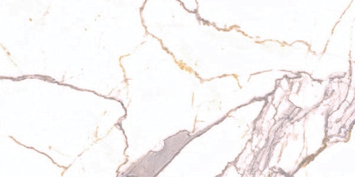 Cassini Carrara GTECASSCAR2448