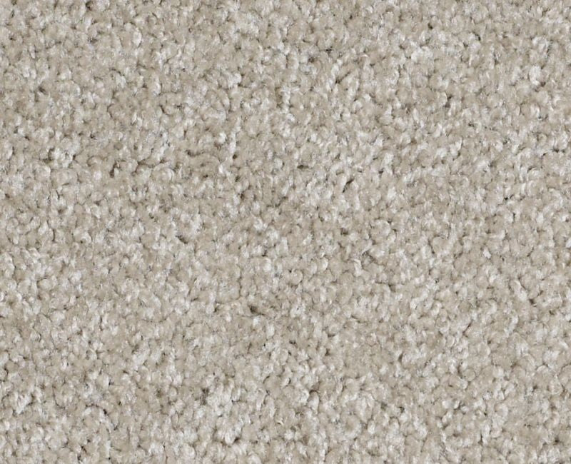 Shaw XV974 00152 Cascade Textured Nylon Carpet | Lowest Price — Stone ...