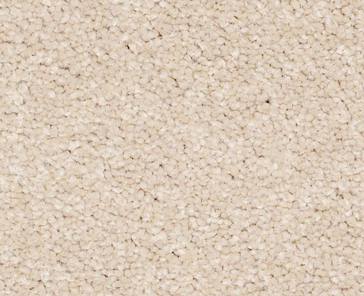 Bright Spirit II 12' Cashew 00106