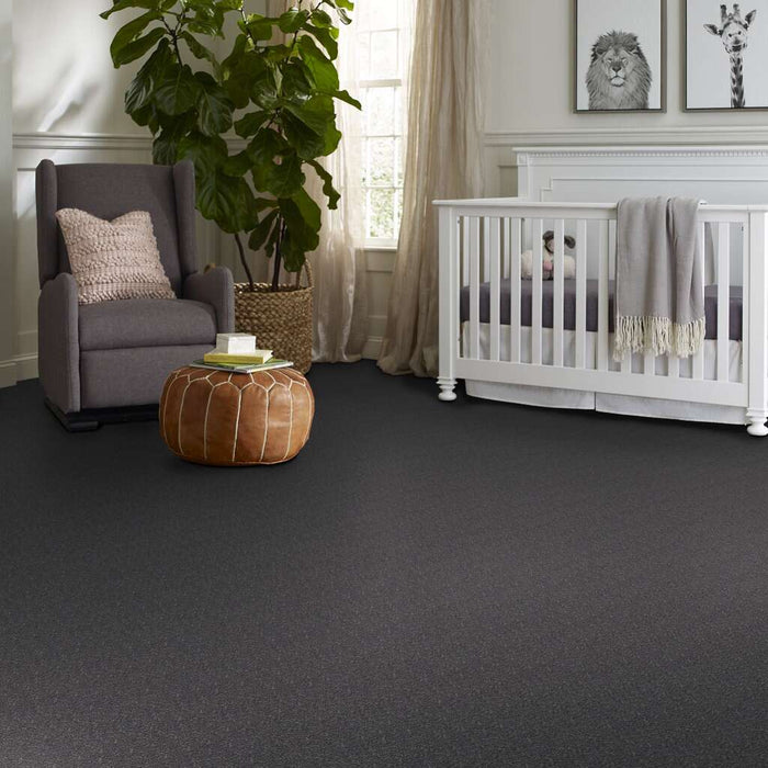 Shaw Floor Studio Home News I 12' Castle Walls 00501 Textured Polyester