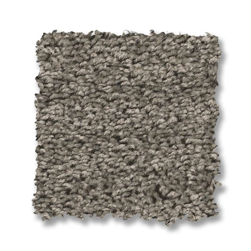 Shake It Up (S) Cement 00510
