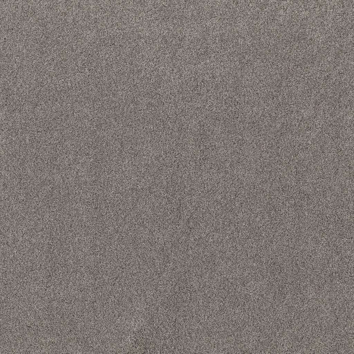 Shaw Foundations Live On Comfort 00744 Century Taupe Nylon Carpet ...