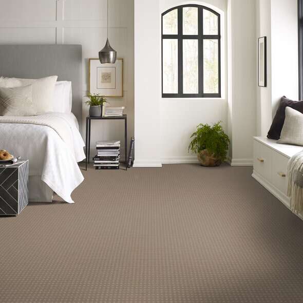 Shaw Floor Studio Style With Ease Chameleon Pattern 00104