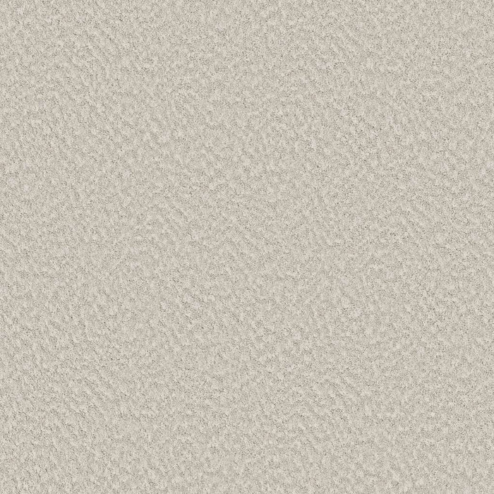 Foundations Alluring Canvas Nylon Champagne Toast 00153