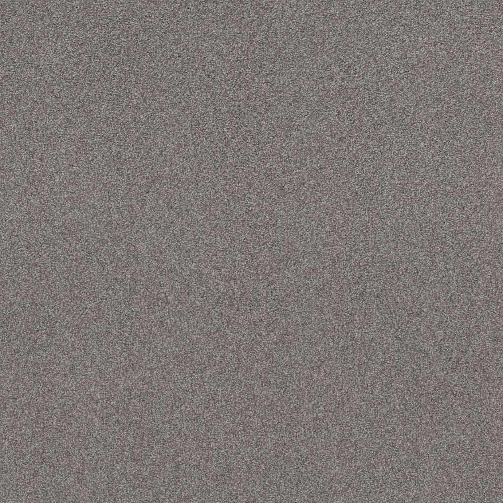 Shaw Sweet Inspiration Ii 00525 Charcoal Textured Nylon Carpet — Stone 