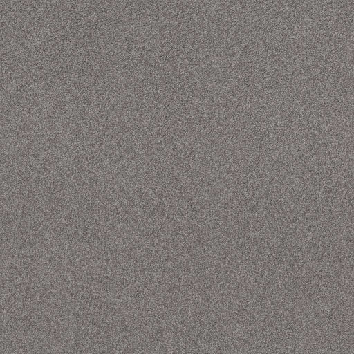 Sweet Inspiration II Charcoal 00525