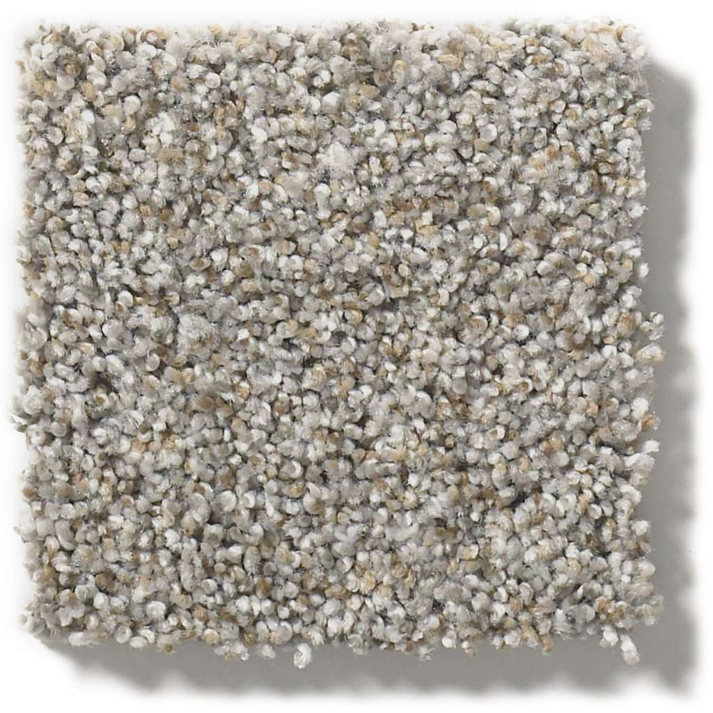 Shaw Foundations Make It Work 00577 Chat Room Textured Nylon Carpet ...