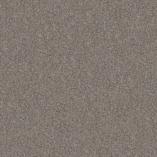 Pet Perfect Yes You Can III 15' Chic Greige 00111