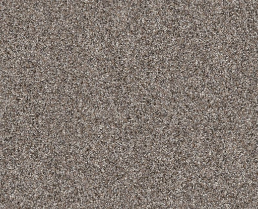 Yes You Can Ada1 12' Chic Greige 00111