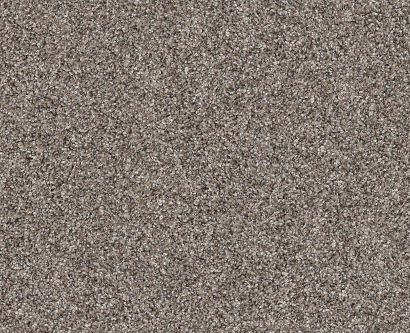 Shaw Yes You Can Ada1 12' 00111 Chic Greige Textured Polyester