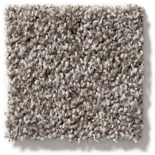 Poised Chic Taupe 00714