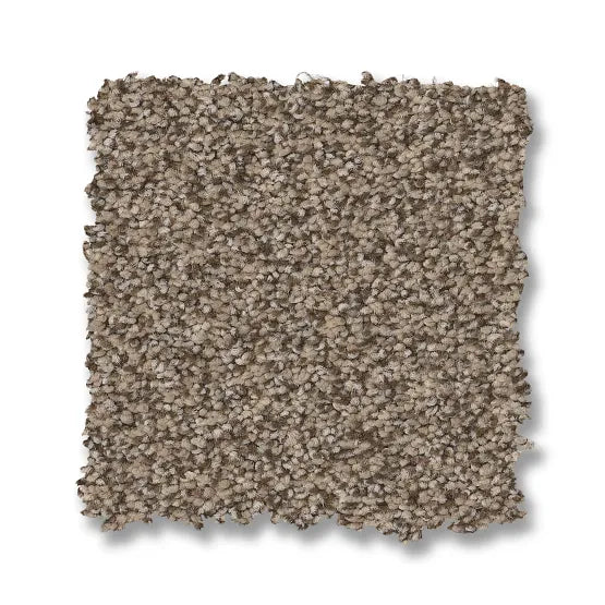 Somerset Chic Taupe 00753