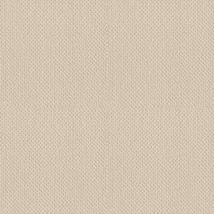 Soft Shades Truly Relaxed Loop Nylon China Pearl 00100