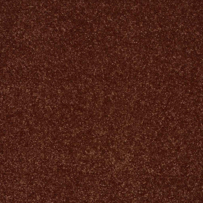 Shaw Floor Studio Home News II 15' Polyester Cinnamon Roll 00600