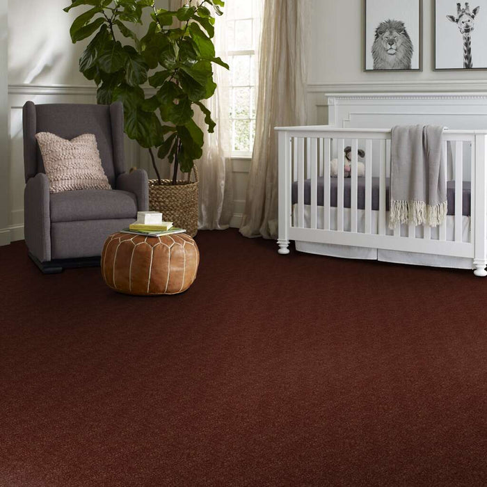 Shaw Floor Studio Home News II 15' Cinnamon Roll 00600 Textured Polyester