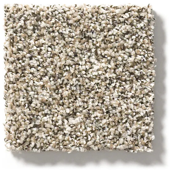 Anderson Tuftex Carmel Coast 00154 Clamshell Nylon Carpet — Stone ...