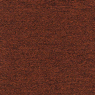 Rule Breaker 20 12' Clay 383