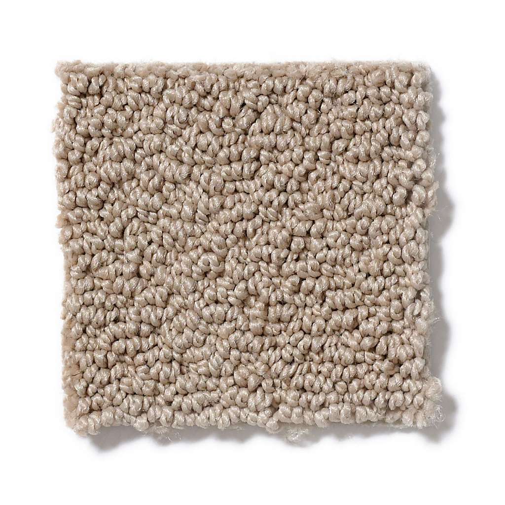 Shaw Soft Shades Truly Relaxed Loop 00108 Clay Stone Loop Nylon Carpet ...