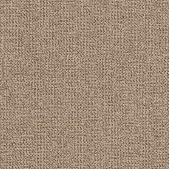 Soft Shades Truly Relaxed Loop Nylon Clay Stone 00108