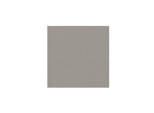 Phenix FloorEver PetPlus Capri 911 Coastline Textured Polyester Carpet —  Stone & Tile Shoppe, Inc.