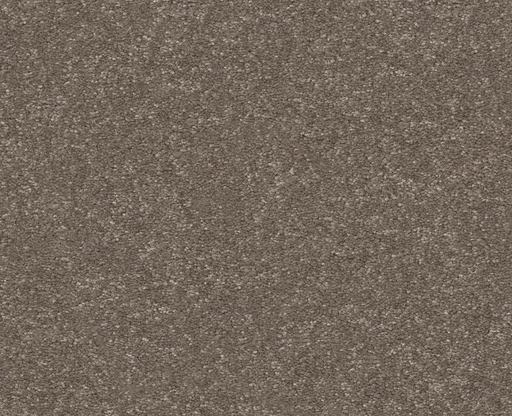 Pet Perfect Hard At Play II 15' Cobblestone 00750