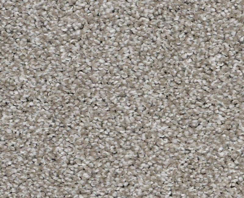 Shaw XV816 00712 Cocoa Textured Nylon Carpet | Lowest Price — Stone ...