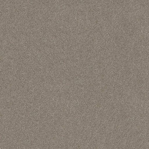 Anso Open II (S) Cocoa 00712