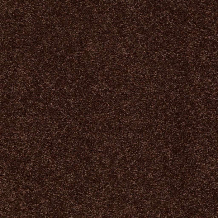 Couture' Collection Ultimate Expression 15' Nylon Coffee Bean 00711