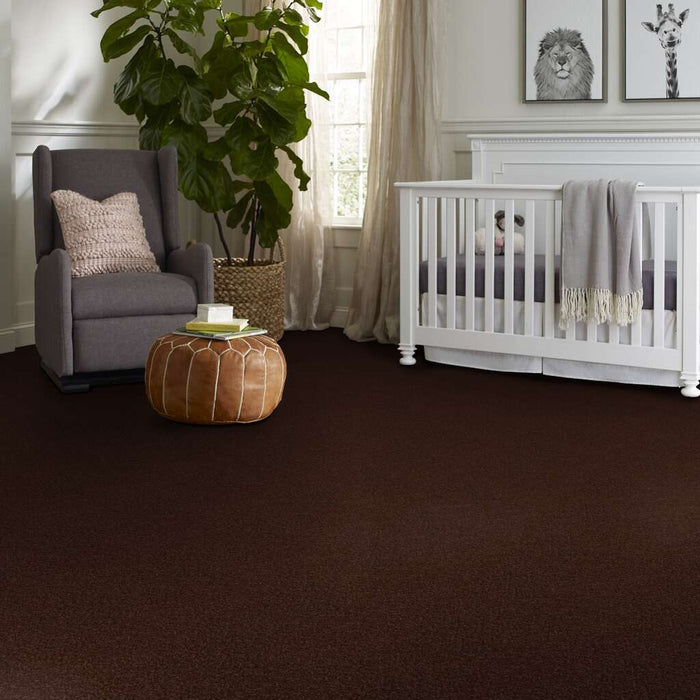 Sandy Hollow I 12' Coffee Bean 00711 Textured Nylon