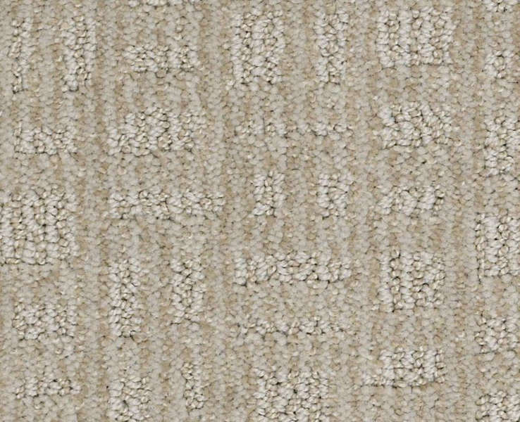 Shaw Pack A Punch 00510 Cold Water Pattern Nylon Carpet | Lowest Price ...