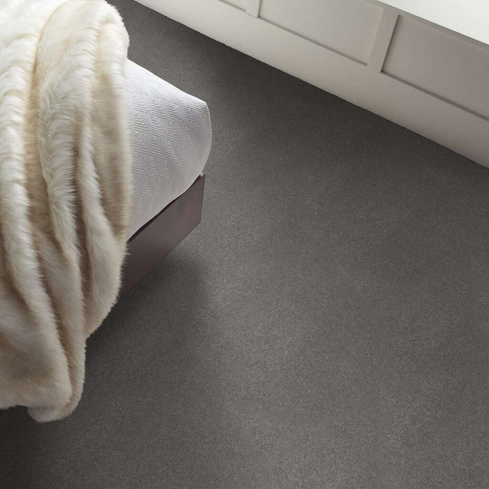 Shaw Simply The Best Values Solidify Ii 15 00500 Concrete Carpet Stone Tile Pe Inc
