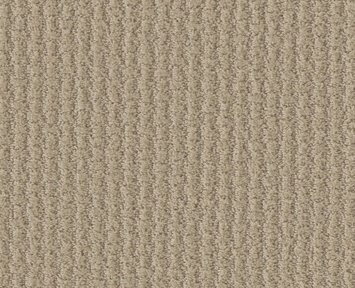 Bold Attitude Cookie Dough 00124