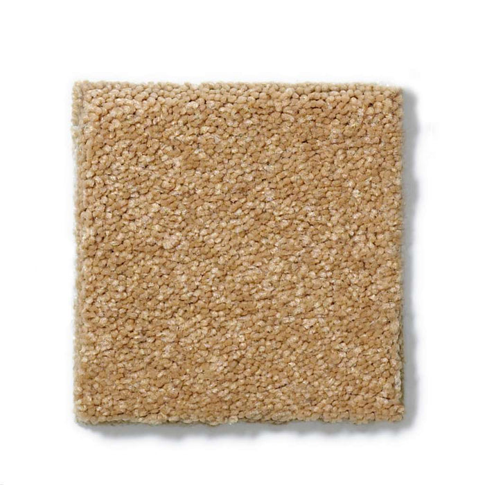 Foundations Sandy Hollow Classic II 12 Cork 00722