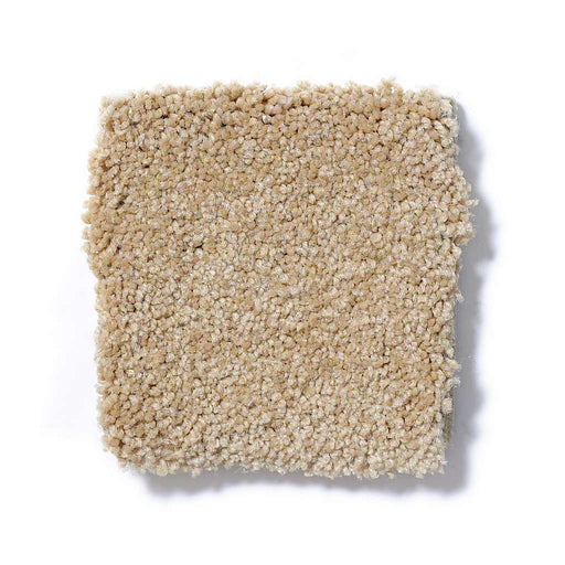 Sophistication 12' Cornfield 00202
