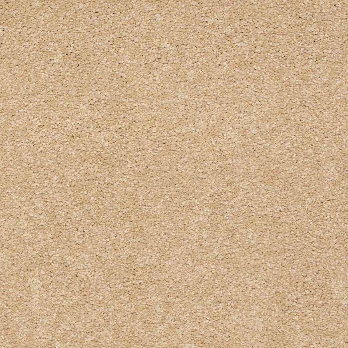 Sophistication 15' Nylon Cornfield 00202