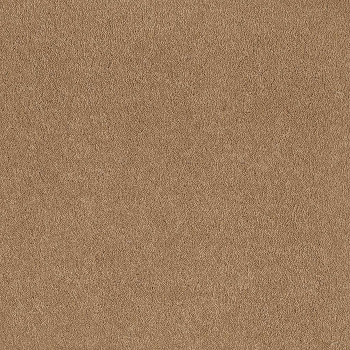 Foundations Sandy Hollow Classic II 12 Nylon Cornfield 00202