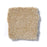 Sophistication 15' Cornfield 00202