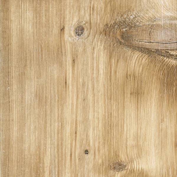 Cortina Honey Natural Porcelain Tile - 10" x 60"