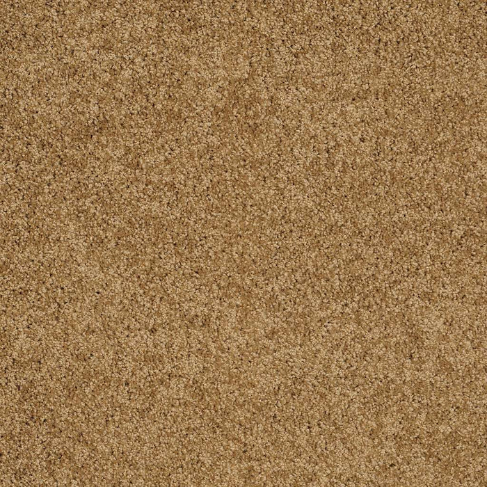 Shaw Floor Studio Around The House II Nylon Country Wheat 00701