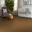 Shaw Floor Studio Around The House II Country Wheat 00701 Textured Nylon