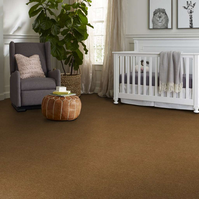 Shaw Floor Studio Around The House I Country Wheat 00701 Textured Nylon