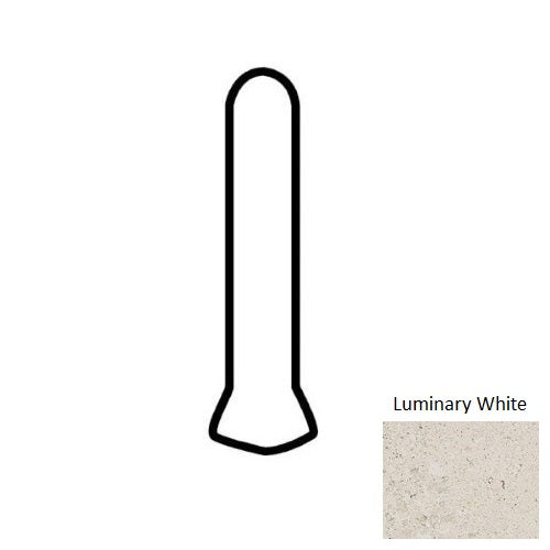 Dignitary Luminary White DR07
