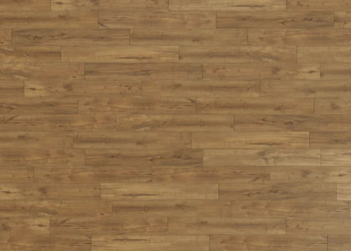 Adura Max Plank (MAX) Coventry Meadow MPB781