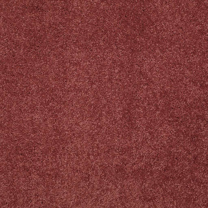 Caress By Shaw Quiet Comfort Classic IV Nylon Cranberry 00821