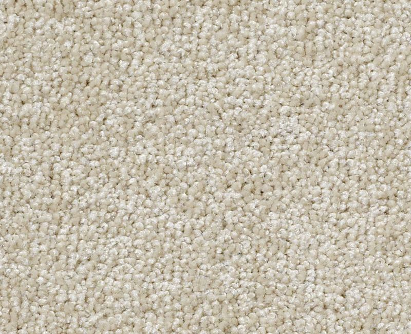 Shaw Great Choice 00111 Cream Puff Textured Nylon Carpet — Stone & Tile ...