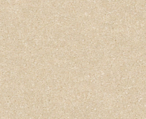 Gold Cut Pile 12' Cream 00101