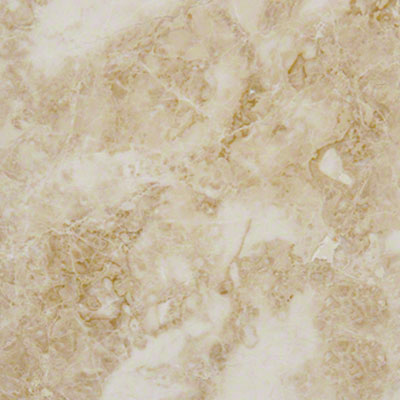 Crema Cappuccino Classic TTCAPU1212P-C