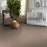 Shaw Floor Studio Home News I 12' Crisp Khaki 00103 Textured Polyester